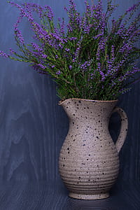 purple petaled flower in gray pitcher pot thumbnail