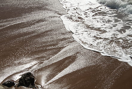 brown seashore with body of water thumbnail