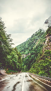 Concrete Pavement Between Green Tall Tree and Tall Mountain thumbnail