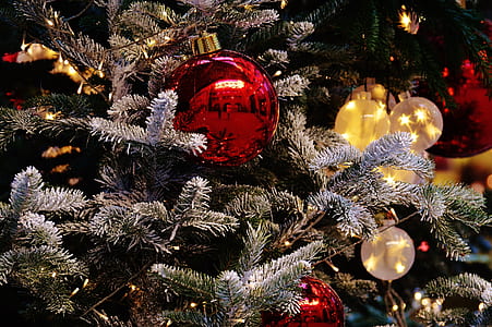 red Christmas bauble in tilt shift photography thumbnail