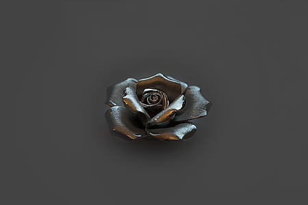 silver-colored rose flower thumbnail