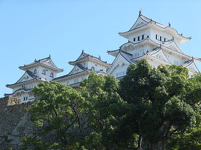 pagoda temple under clear blue sky thumbnail