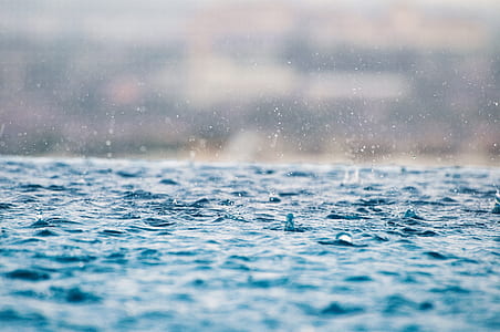 selective photo of water droplets thumbnail