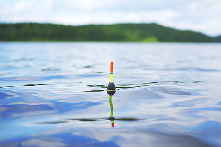 shallow focus photography of green and black fishing bait in water thumbnail