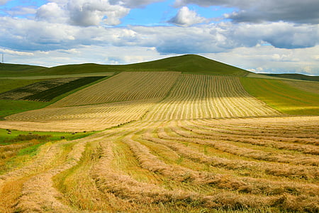 farm field thumbnail