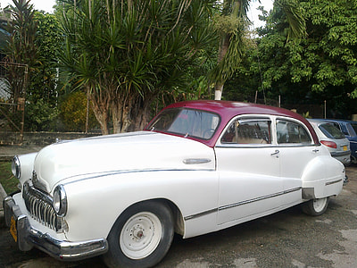 white vehicle beside palm tree thumbnail