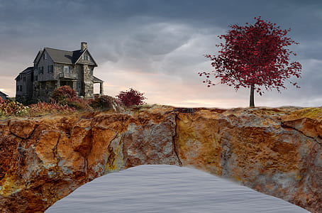 concrete house beside red tree on cliff thumbnail