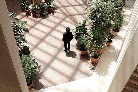 man standing near plants thumbnail