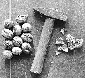 walnuts beside hoe thumbnail