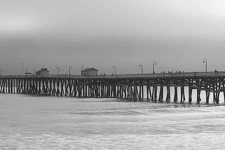 greyscale photography of boardwalk thumbnail