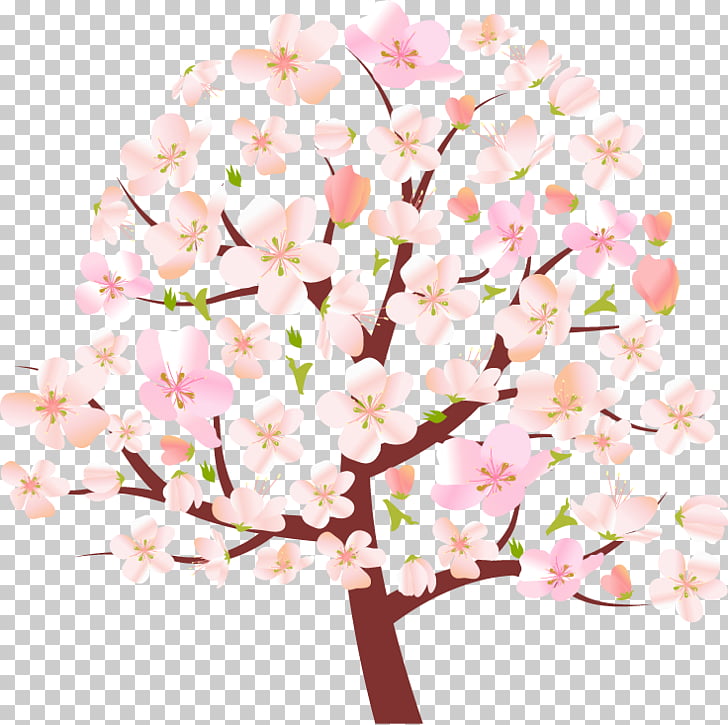 Tree Spring Cherry Blossom Cartoon Cherry Tree Png Clipart Free Cliparts Uihere