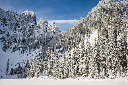 pine trees on snowy mountain landscape photography thumbnail