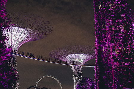 photo of Supertree Grove, Singapore thumbnail