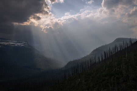 landscape photography of tree covered mountain thumbnail