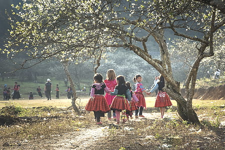 year, lunar, hmong, nice, happy, the tradition thumbnail