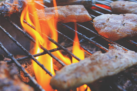 food, picnic, dinner, lunch thumbnail