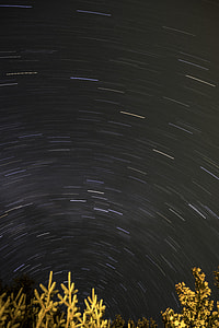 Star Trails above the trees at Algonquin Provincial Park, Ontario thumbnail