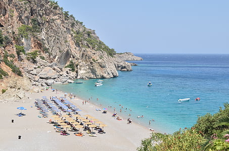 people on beach during daytime thumbnail