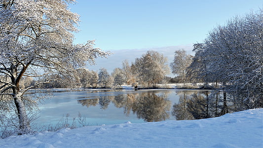 body of water in between snow plain and trees thumbnail