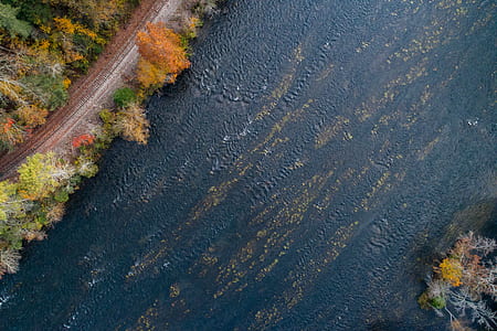 body of water near trees at daytime thumbnail