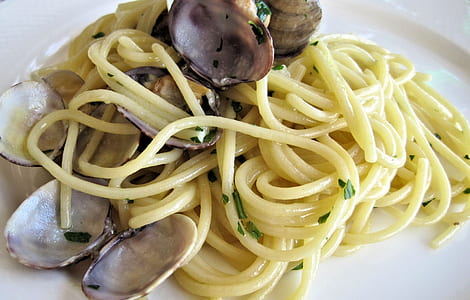 white pasta on white ceramic plate thumbnail