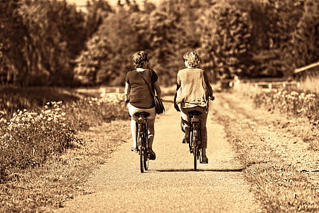 two women riding bicycles on road thumbnail