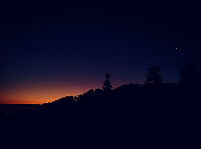 forest during night time thumbnail