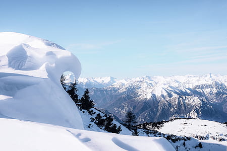 landscape photography of trees on mountain covered by snow thumbnail