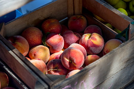 apricots on wooden crate thumbnail