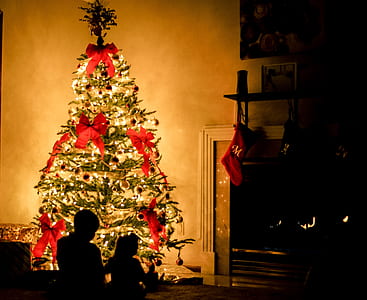 silhouette of two children sitting near Christmas tree thumbnail