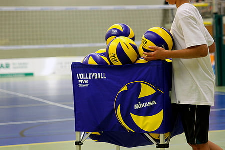 Mikasa Volleyballs on bag thumbnail