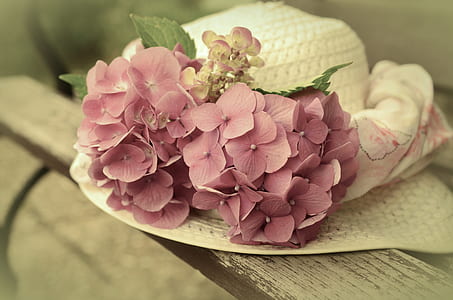 white straw hat with flower-accent on brown wooden bench thumbnail