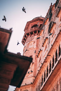 Brown Concrete Building With Birds thumbnail