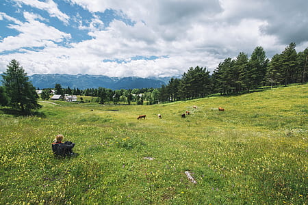 green trees thumbnail