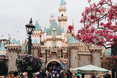 Disney Castle thumbnail