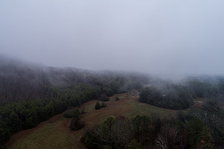 brown hills with trees thumbnail