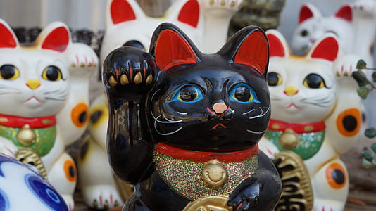 white and black maneki nekos thumbnail