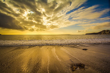 panoramic photo of seashore during sunrise thumbnail
