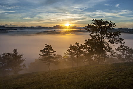 aerial photography of sea of clouds during sunrise thumbnail