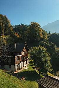 brown and white painted house near green leafed trees thumbnail