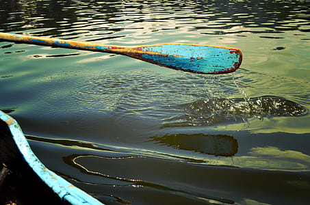 Paddling thumbnail