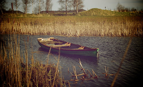 Brown and White Wooden Boat on the River thumbnail