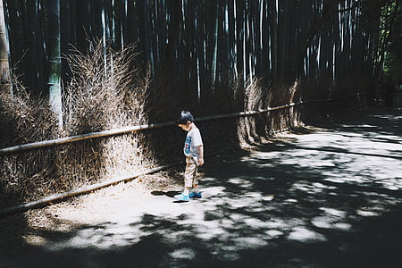 boy looking at sunlit pathway thumbnail