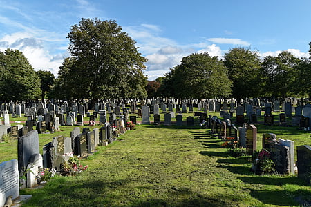graveyard near trees thumbnail
