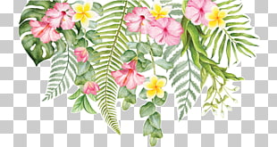 Cut flowers Wall decal Floral design, tropical flower, pink hibuscus PNG clipart