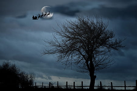 silhouette of flying reindeers with sleight under full moon during night time thumbnail