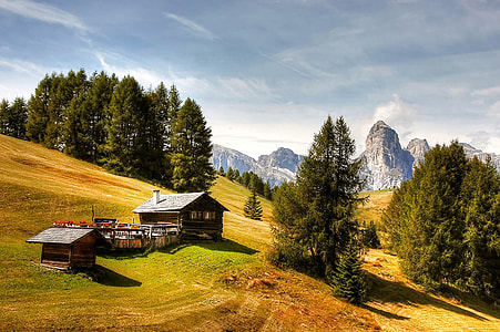 green trees and house under the blue sky thumbnail