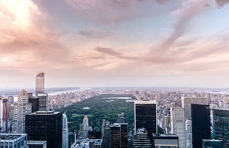 aerial photography of highrise building thumbnail