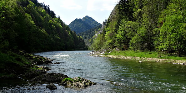 river between mountain and trees thumbnail