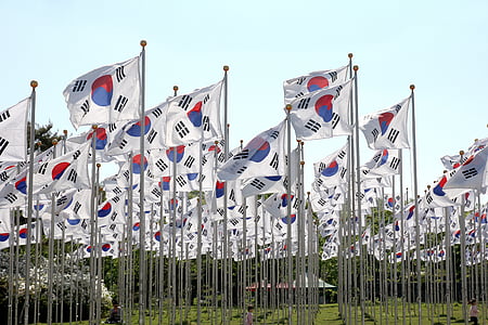 Korean flags in field thumbnail